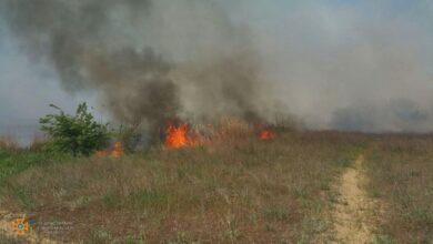 пожар в Балабановском лесу