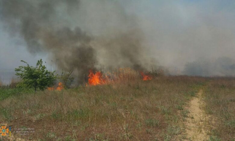 пожар в Балабановском лесу