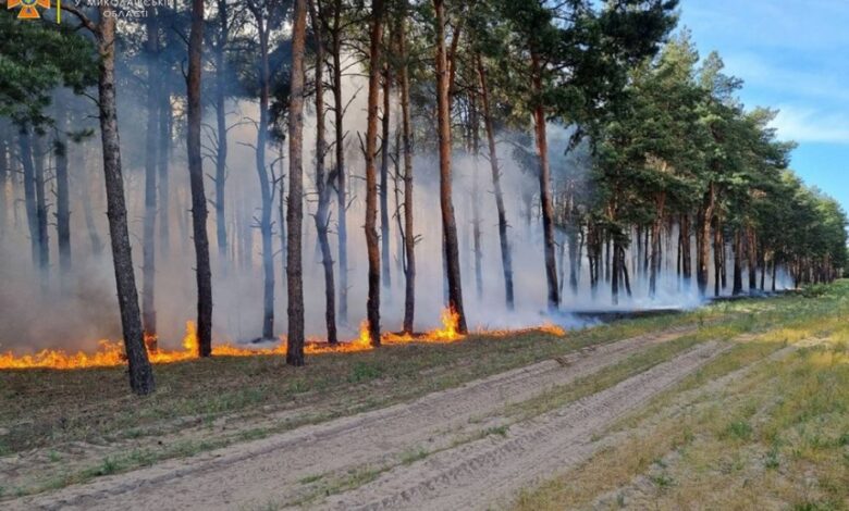 горит Балабановский лес