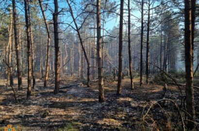 пожар в лесу