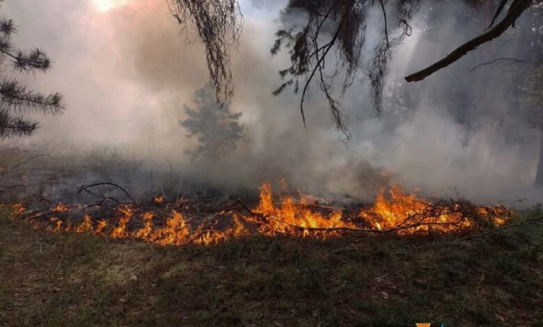 пожар в лесу