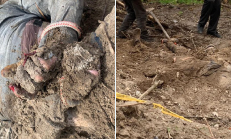 братская могила