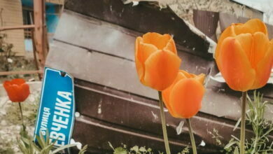 наслідки рашистських обстрілів на Миколаївщині