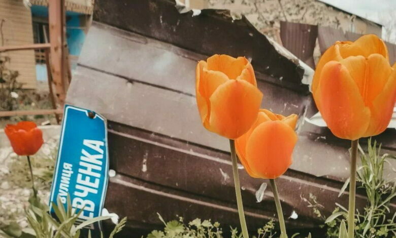 наслідки рашистських обстрілів на Миколаївщині