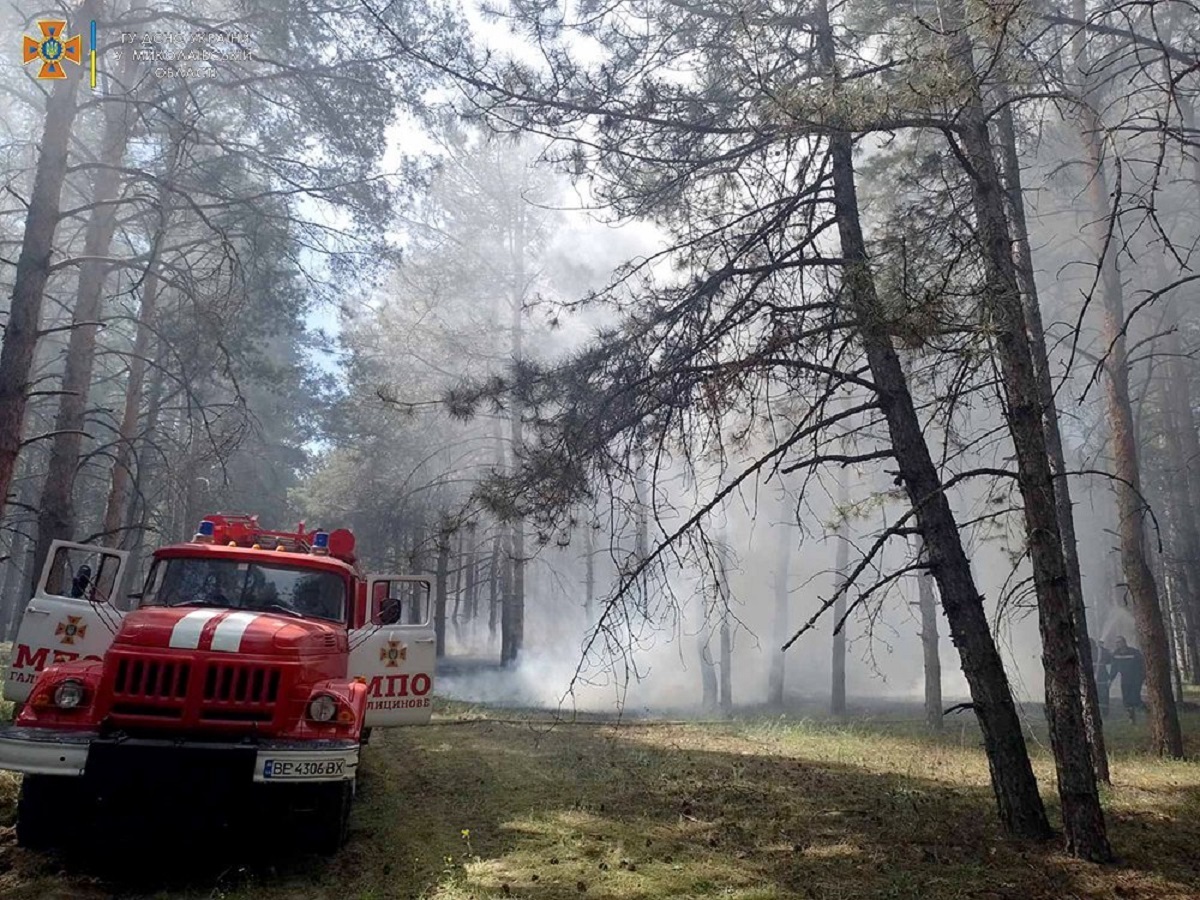 пожар в Галицыновском лесу