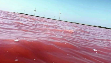 Херсонщина