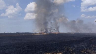 пожар на поле из-за рашистского обстрела