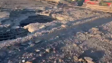 Антоновский мост