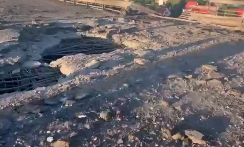 Антоновский мост