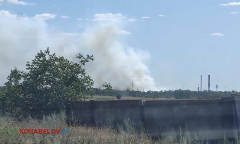 горить ліс біля МГЗ