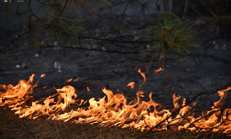 пожежа в Балабанівському лісі