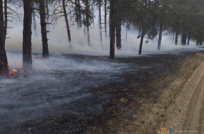 пожар в Балабановском лесу