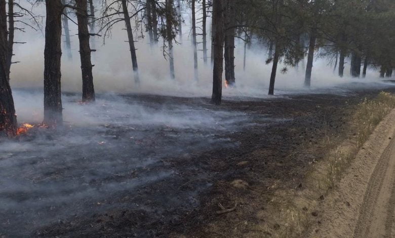 пожар в Балабановском лесу