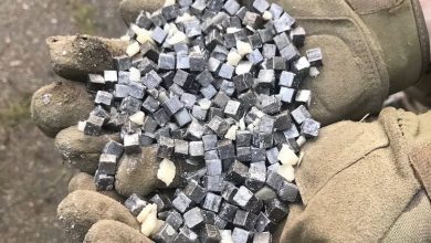 начинка вражеской ракеты, упавшей в николаевскомпарке