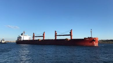 порт, судно с зерном, агропродукция