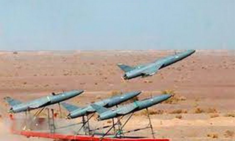 дроны-камикадзе, Иран, иранские дроны