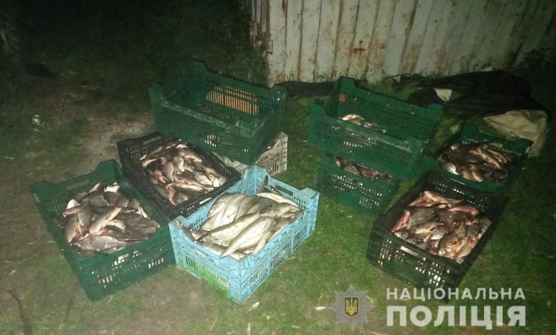 рыба - улов браконьера