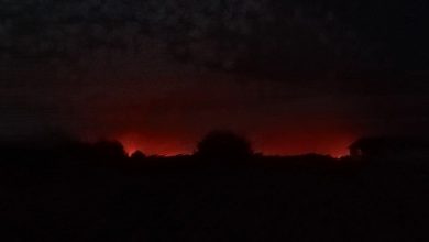 Кинбурнская Коса