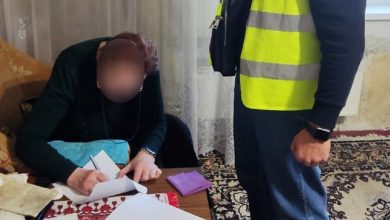 коллаборантка