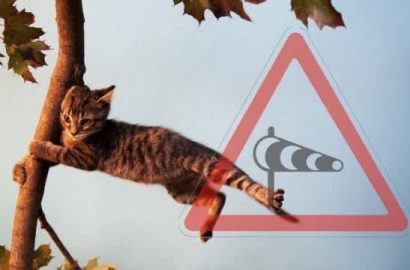 штормовое предупреждение
