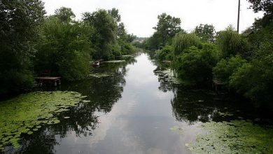 Парк "Нижнеднеповский"