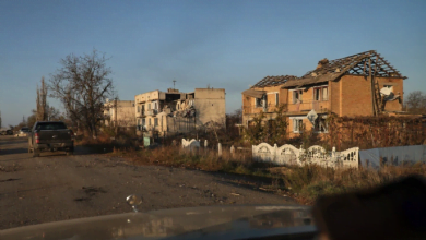 освобождённая Николаевщина