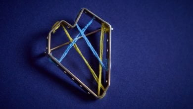 Награда Президента Украины "Золотое сердце"