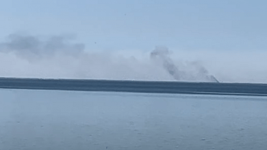 Кинбурнская коса