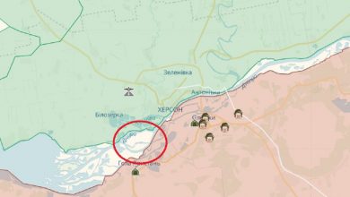 Потемкинский остров