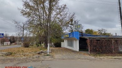 Штучка, Капацына, аренда земли, парк Богоявленский