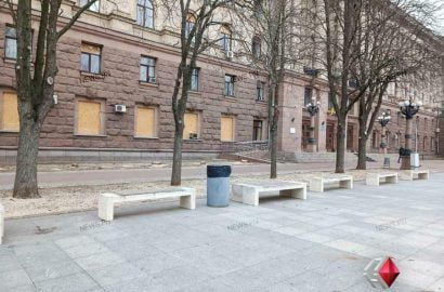 перед горсоветом спилили голубые ели
