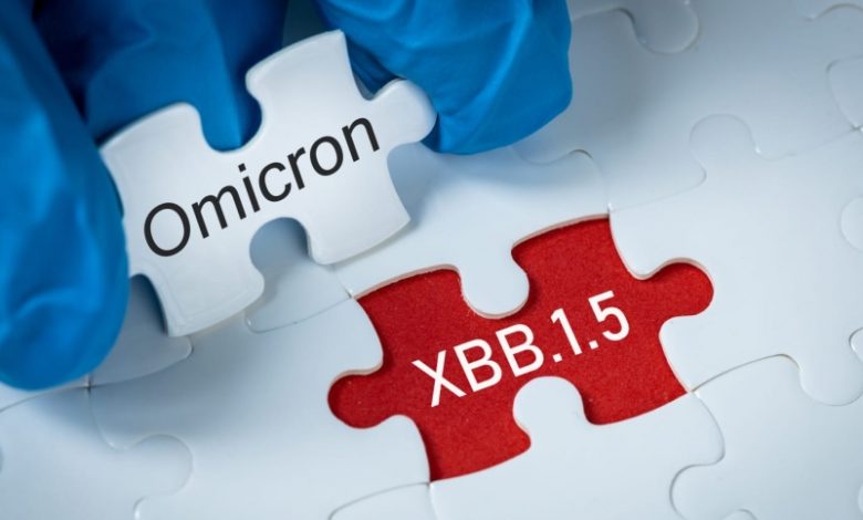 "Кракен" вариант "Омикрона"