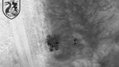 Николаевские морпехи показали, как уничтожают оккупантов на Донбассе