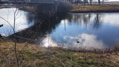 Тіло жінки в річці