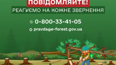 горяча лінія ДП "Ліси України"