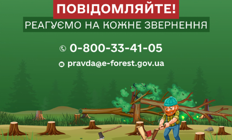 горяча лінія ДП "Ліси України"