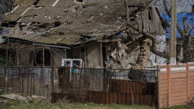 будинок в селі Любомирівка