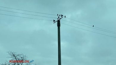 Електроенергія - без обмежень