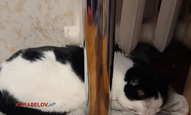 У Миколаєві завершено опалювальний сезон