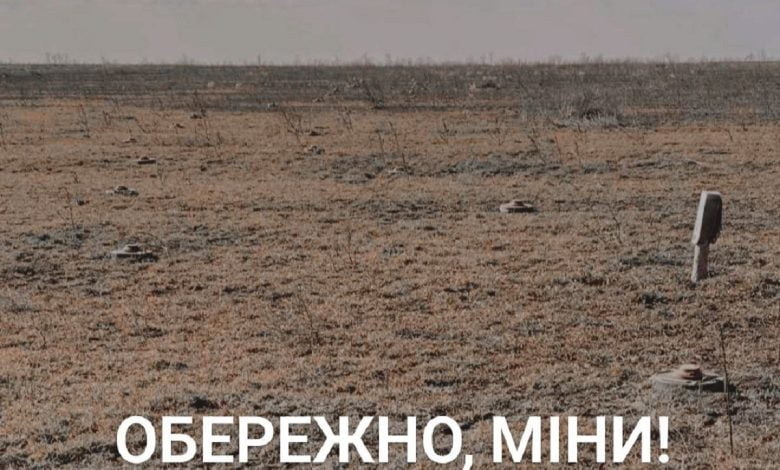 міни