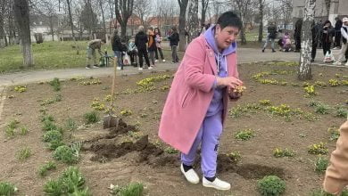 висадка квітів біля ліцею №40