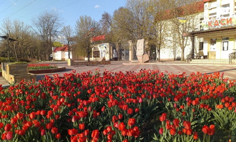тюльпани, Миколаївській зоопарк весною