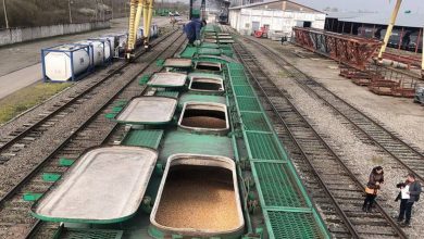 кукурудза, потяг, залізниця, митниця