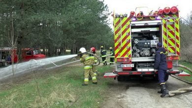 Гасіння умовної пожежі в Балабанівському лісі