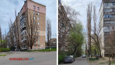 тополі навкруги будинку по пр. Корабелів, 18А