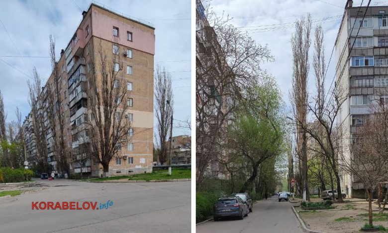 тополі навкруги будинку по пр. Корабелів, 18А