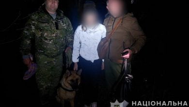 Дівчинка знайдена в лісі