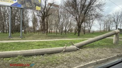 Повалена електроопора в Корабельному районі