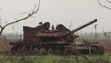 посівна на Миколаївщині