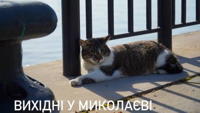 вихідні в Миколаєві